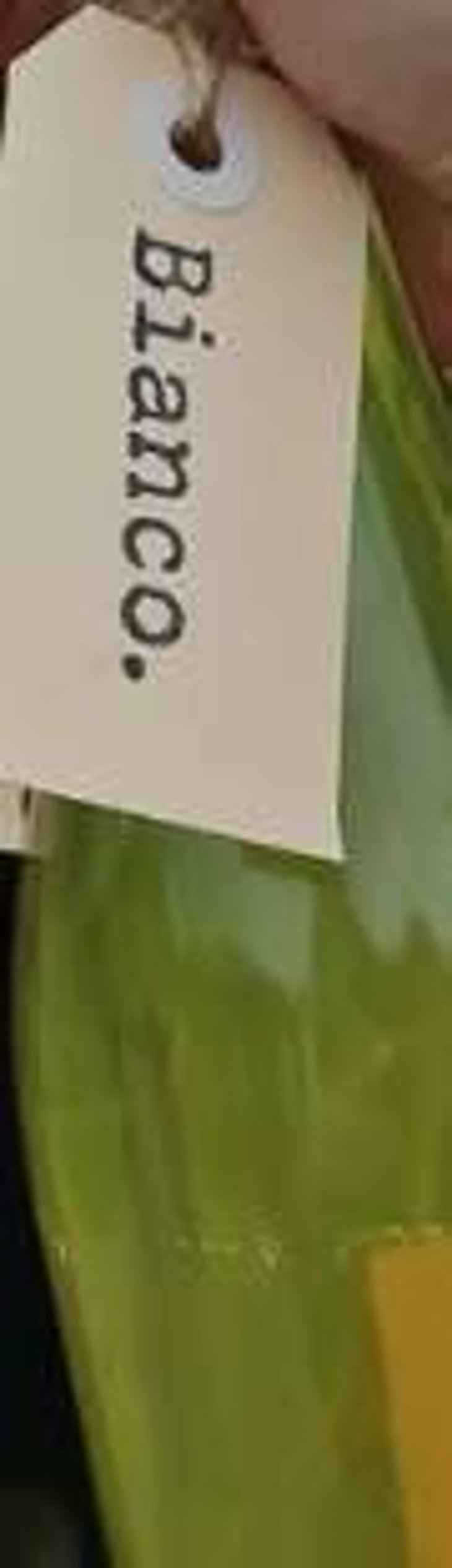 Bianco N.V. - Cambridge Road Vineyard - lance-redgwell 