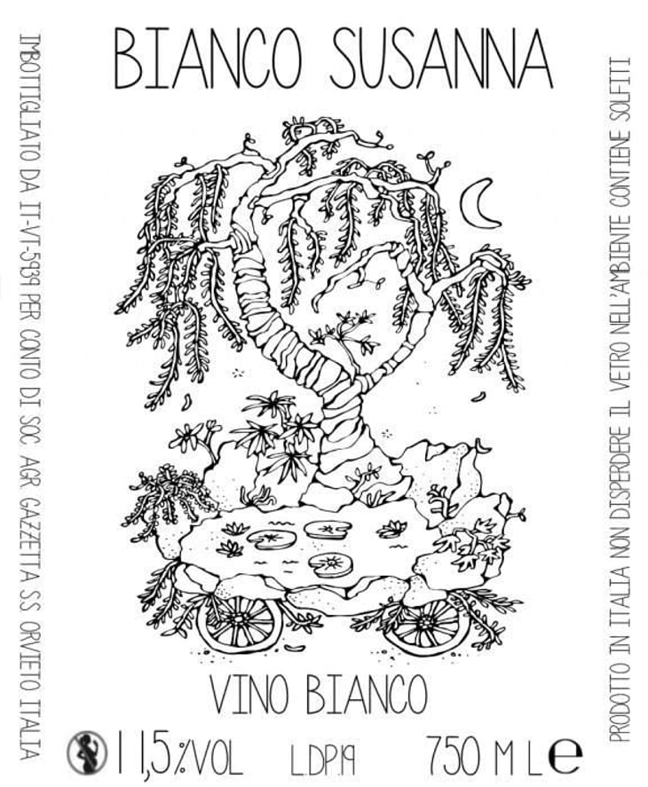 Bianco Susanna - Gazzetta Wines - patricia-nelson 