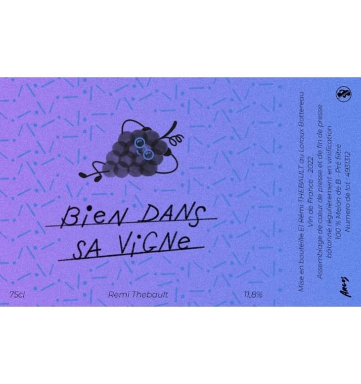 Bien dans sa Vigne - Rémi Thebault - remi-thebault 
