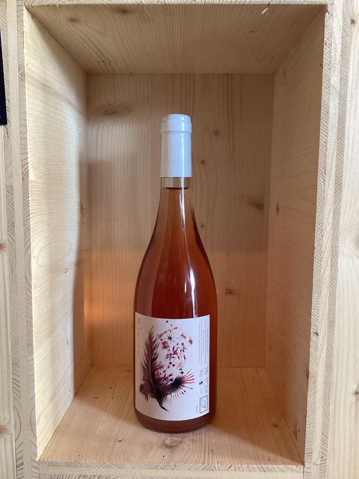 Bikini - Vignes De L'Atrie (CLOSED) - elise-hamant-closed 