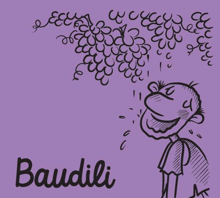 Baudili Negre - Ramon Jané Viticultor - ramon-jane 