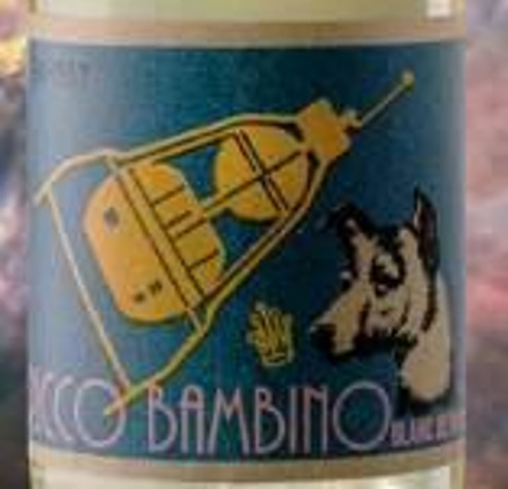 BLANC DE BLANC - TRADITIONAL METHOD SPARKLING WINE - Ricco Bambino - jason-alton 