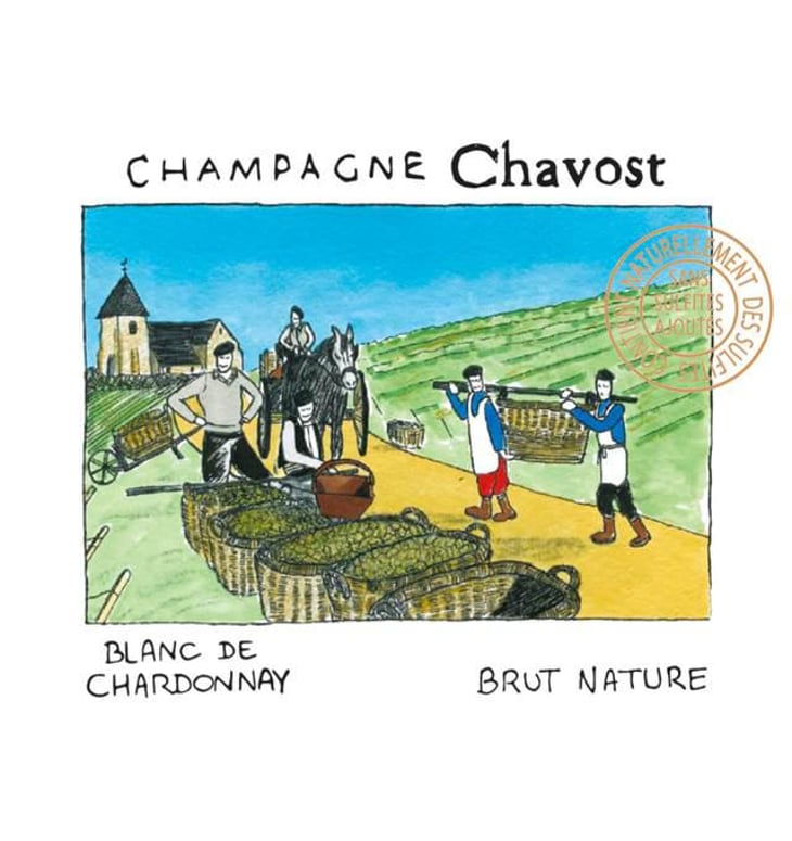 Blanc de Chardonnay - Champagne Chavost - fabian-daviaux 
