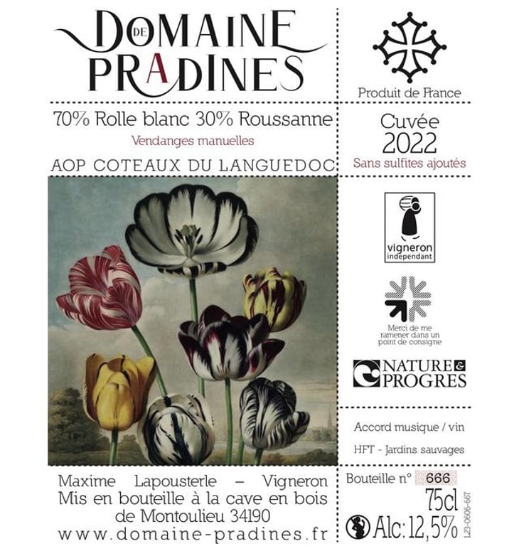 Blanc - Domaine de Pradines - maxime-lapousterle 