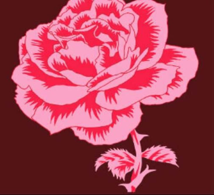 Bloom - Old World Winery - darek-trowbridge 