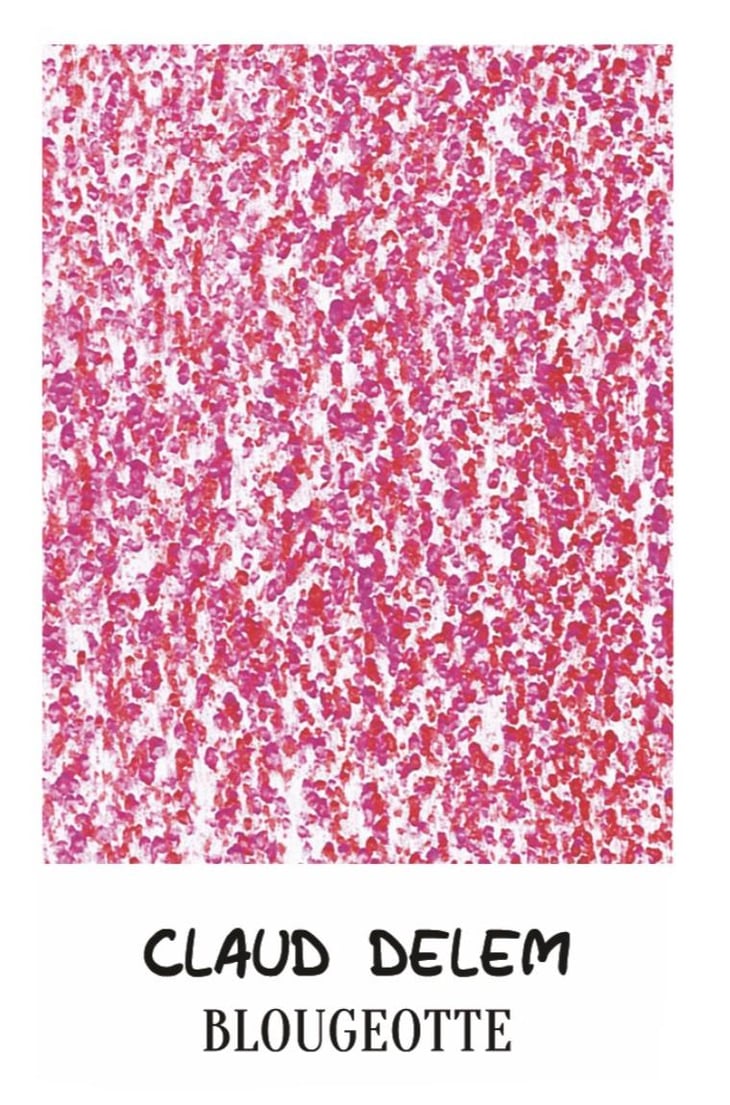 Blougeotte - Claud Delem - jeremie-beauvois 