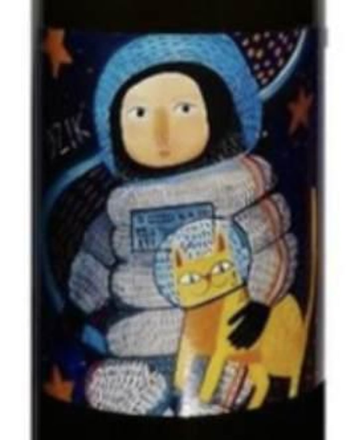 Dzik - Dom Bliskowice - lech-mill-maciej-sondij 