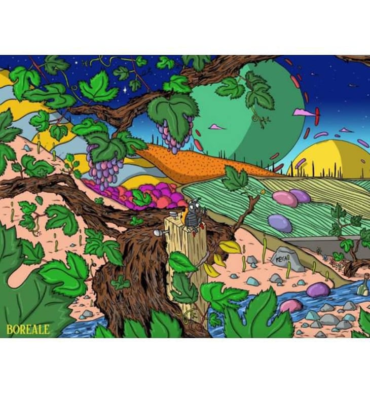 Boréale - Domaine De L’Enviegne - alexis-tondeur 