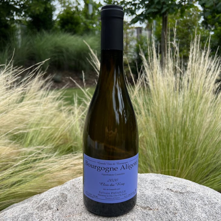 Bourgogne Aligoté Clos du Roy - Sylvain Pataille - sylvain-pataille -2020