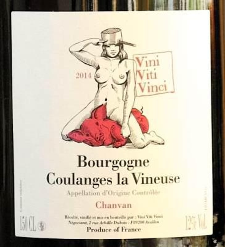 Bourgogne Coulanges La Vineuse "Chanvan" - Vini Viti Vinci - nicolas-vauthier-kikro 