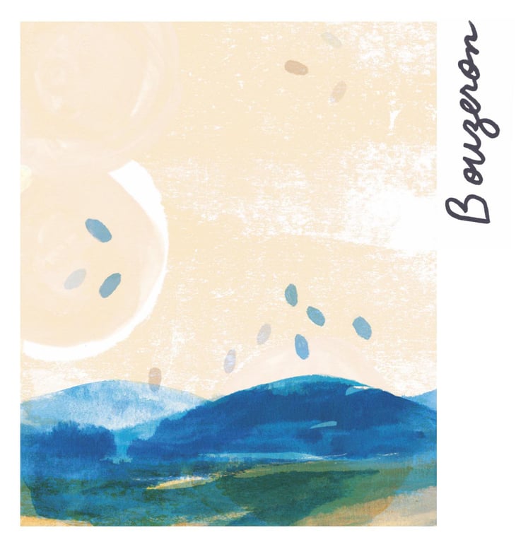 Bouzeron - La Chaume des Lies - margaux-rivaux-lothar-galloo 