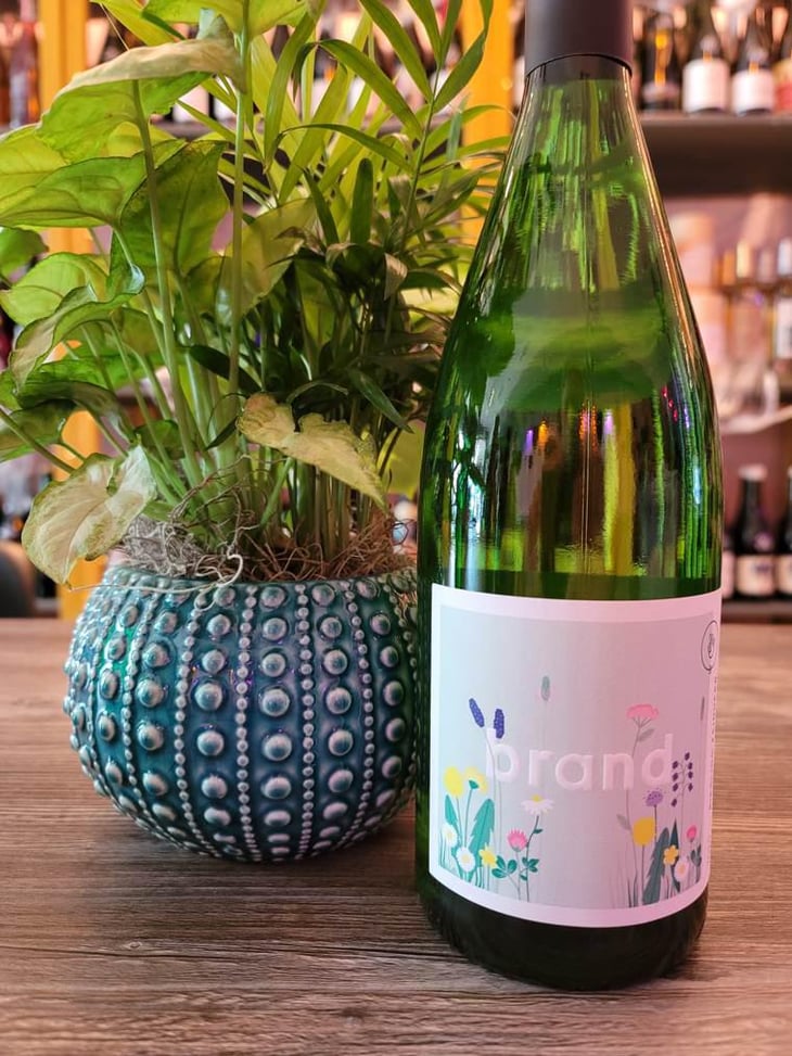 Brand Pfalz Riesling Feinherb - Brand Bros - Weingut Brand - daniel-jonas-brand -2020