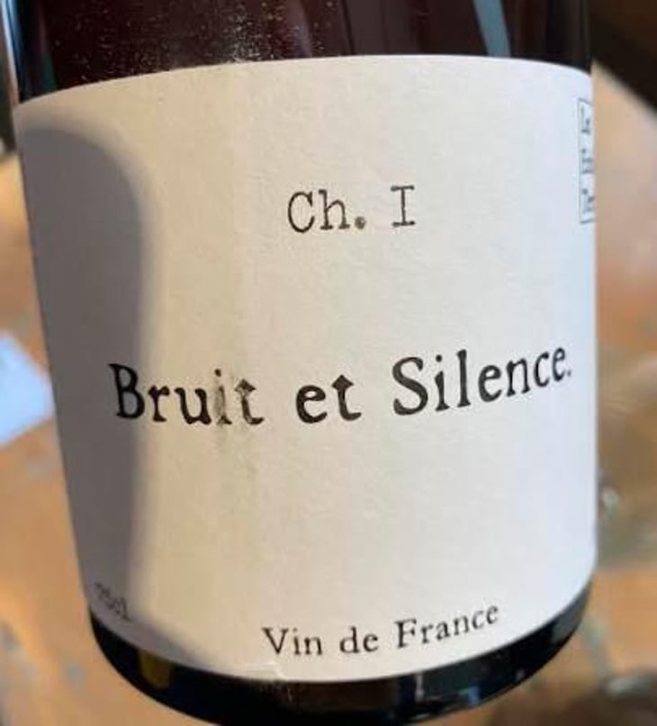 Bruit et Silence - Les Enfants Terribles - jean-sarah-fallay 