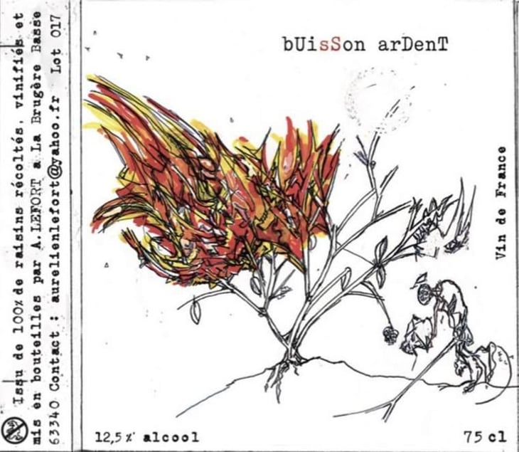 Buisson Ardent - Aurélien Lefort - aurelien-lefort 