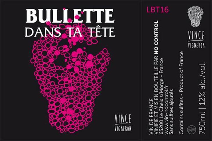 Bullette dans ta tête - No Control - vincent-marie 