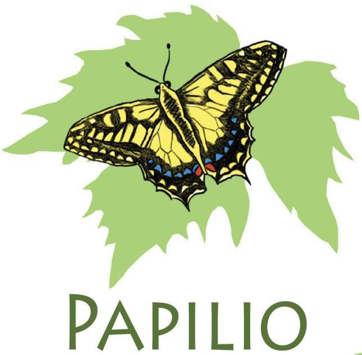 Papilio - Altea Illotto - adriano-altea-maurizio-altea-adele-illotto -2021