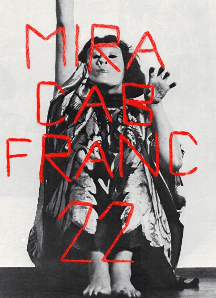 Cab Franc - Mira - mira-milan-nestarec -2022