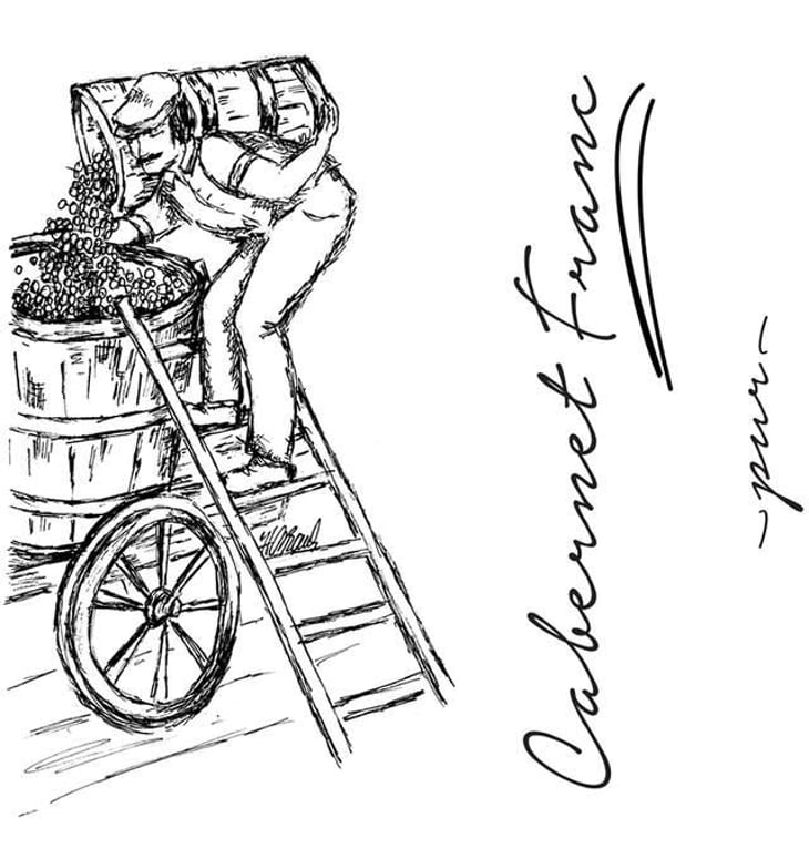 Cabernet Franc - Brand Bros - Weingut Brand - daniel-jonas-brand 