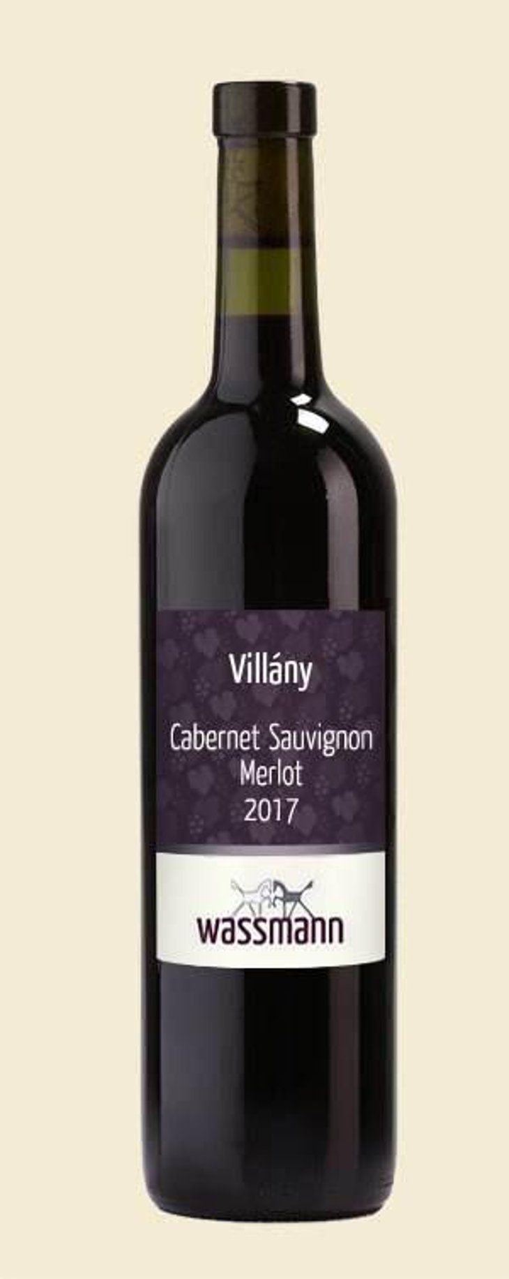 Cabernet Sauvignon - Merlot - Weingut Wassmann - susann-hanauer-ralf-wassmann 