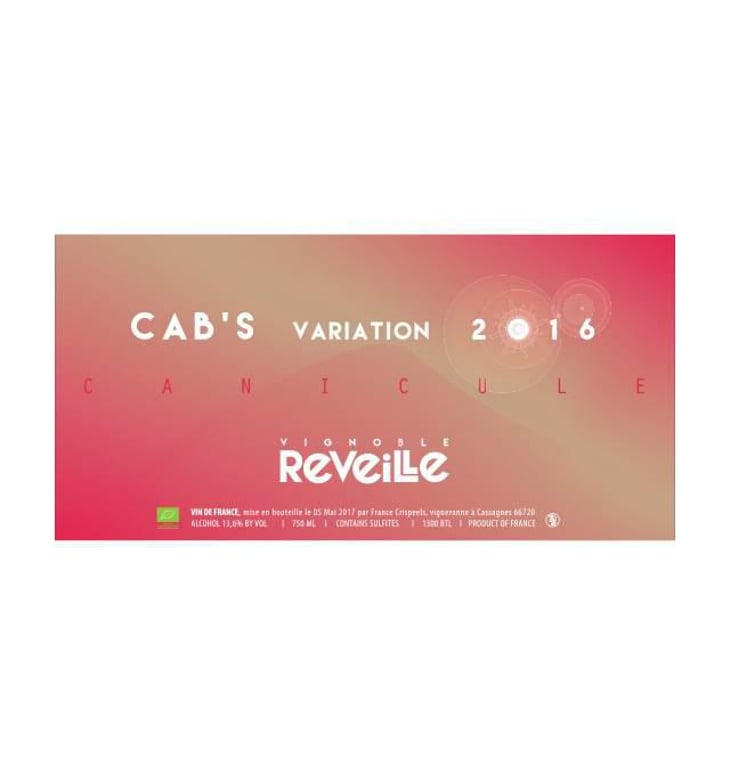 Cab's Variation 2016 (amphore) - Vignoble Réveille - france-crispeels 