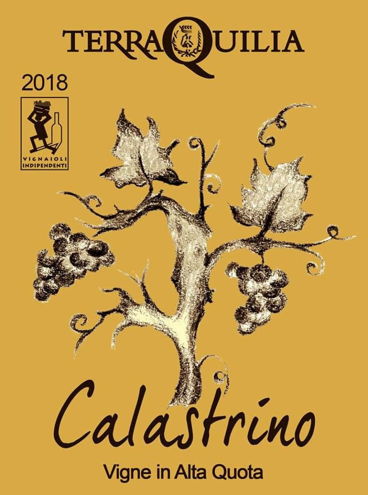 Calastrino - TerraQuilia Società Agricola S.S. - romano-giorgia-mattioli 