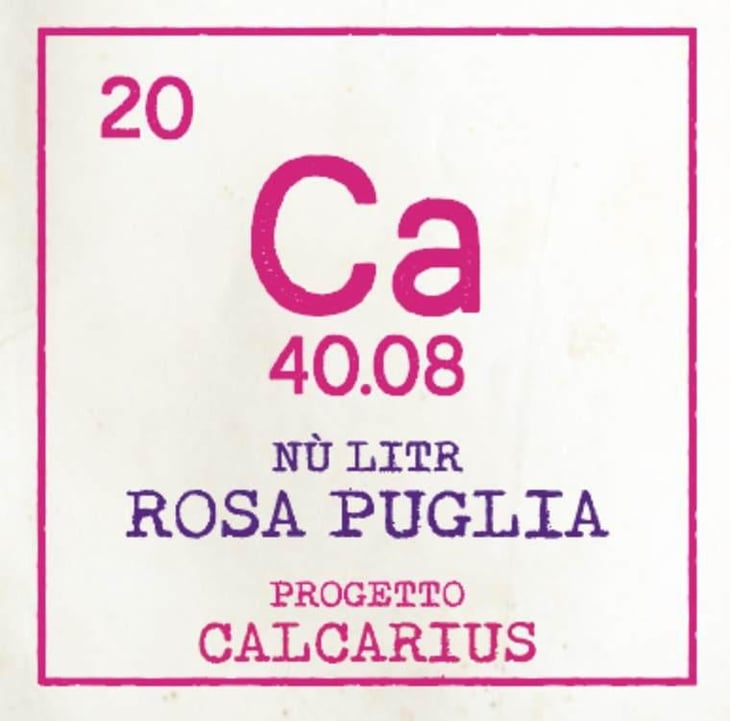 Calcarius Rosa Puglia - Valentina Passalacqua - valentina-passalacqua 