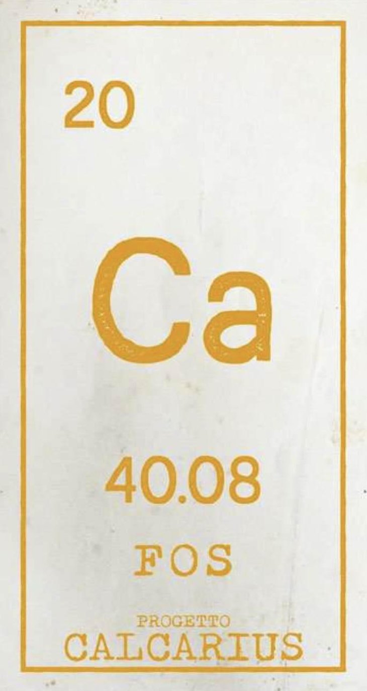 Calcarius Fos - Valentina Passalacqua - valentina-passalacqua 