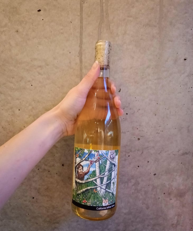 Californian white whine - Deux Punx - dan-schaaf-aaron-olson 