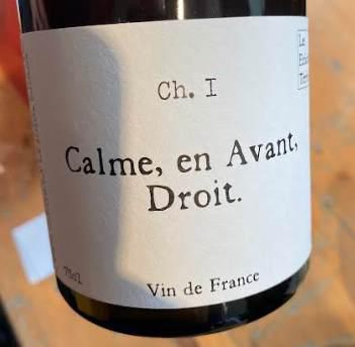 Calme en Avant Droit - Les Enfants Terribles - jean-sarah-fallay 