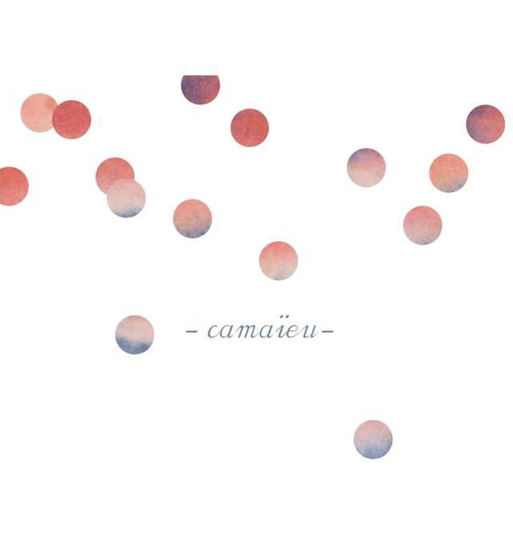 Camaïeu - 1006 Vins de Loire - pauline-lair 