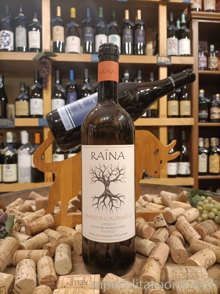 Campo di Colonnello  2022 - Raína - francesco-mariani 