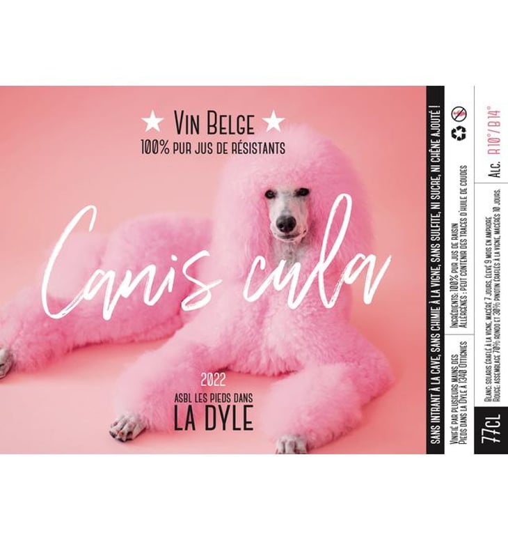 Canis Cula Rouge - Les Pieds dans la Dyle - pablo-et-jade-cremers 