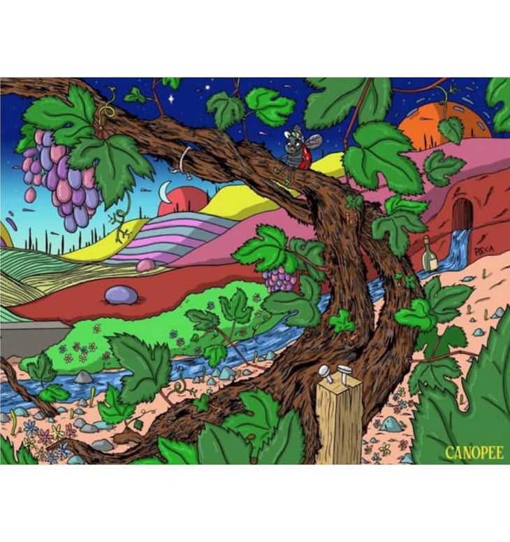 Canopée - Domaine De L’Enviegne - alexis-tondeur 