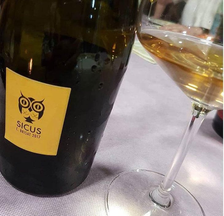 Cartoixa Brisat - Sicus - eduard-pie 