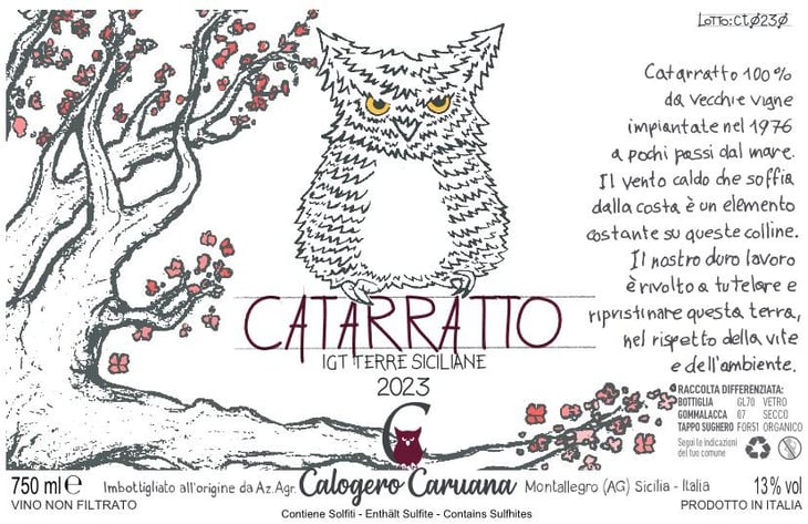 Catarratto - Azienda Agricola Calogero Caruana - calogero-caruana -2021