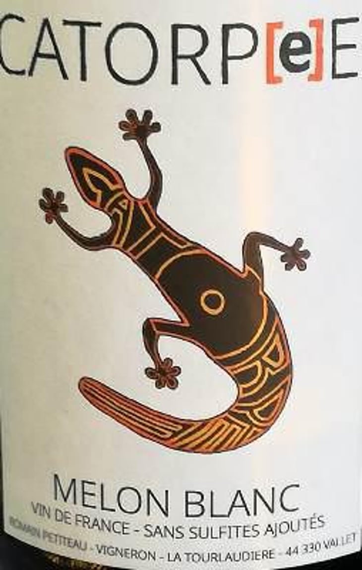 Catorpee Blanc - Domaine de la Tourlaudière - romain-petiteau 