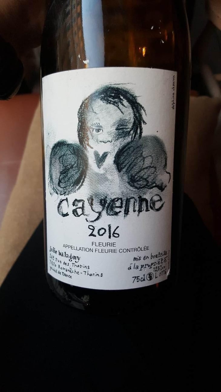 Cayenne (boxer) - Julie Balagny - julie-balagny 