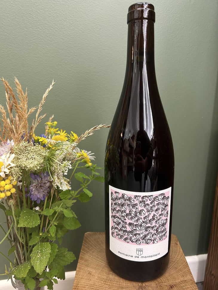 CECI N’EST PAS UN ROSÉ - Domaine Montaillant - alexis-hudon-jerome-loubert 