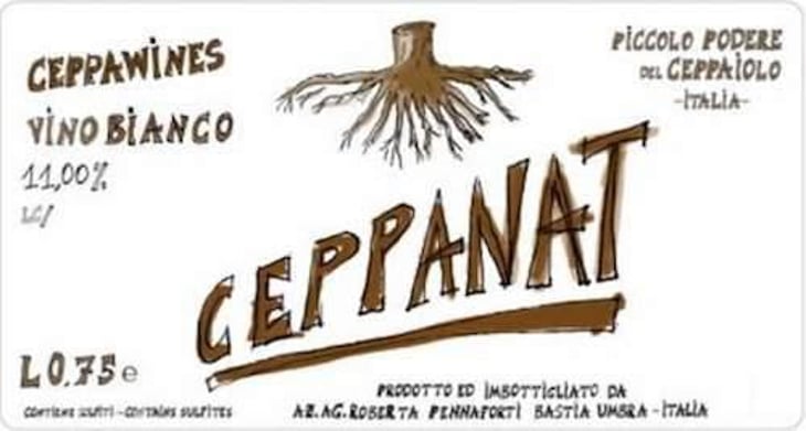 CeppaNat Bianco Pet-nat - Piccolo Podere del Ceppaiolo - danilo-marcucci-riccardo-pennaforti 