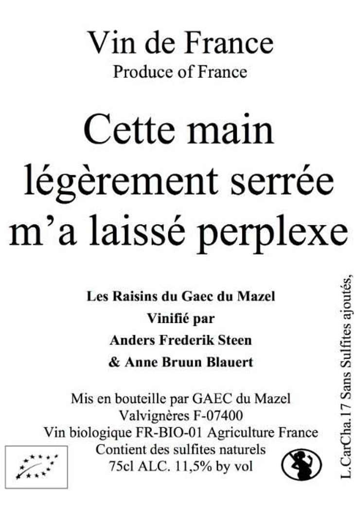 Cette main légèrement serrée m'a laissé perplexe - Anders Frederik Steen & Anne Bruun Blauert - anders-frederik-steen-anne-bruun-blauert 