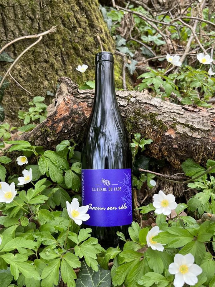 Chacun son rôle - La Ferme du Cade - david-teyssier-zr -2019