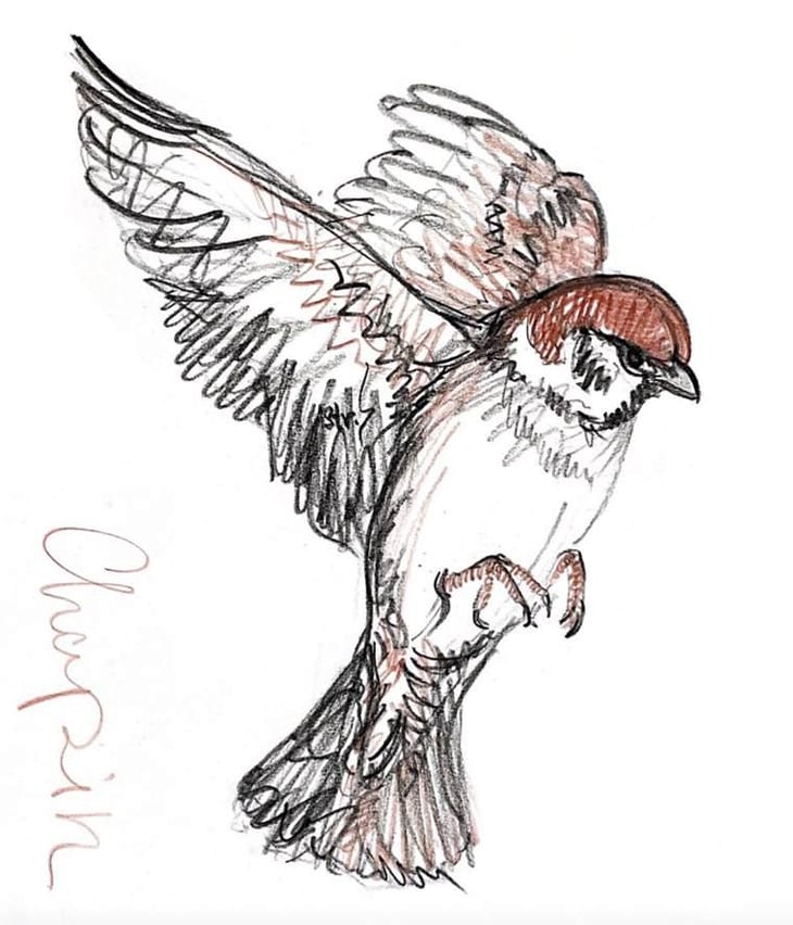 Chapin - FaeDesfa - Azienda Agricola Fasolo Paolo - alberto-buratti 