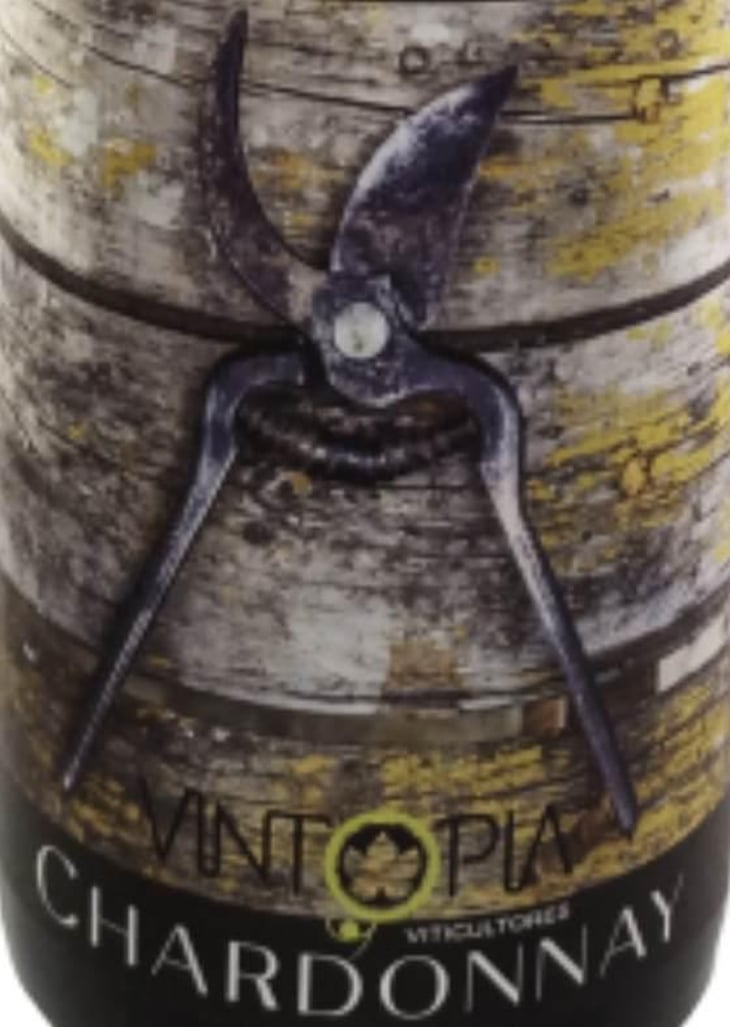 Chardonnay - Vintopia - clemente-enrique-ortiz-martinez 