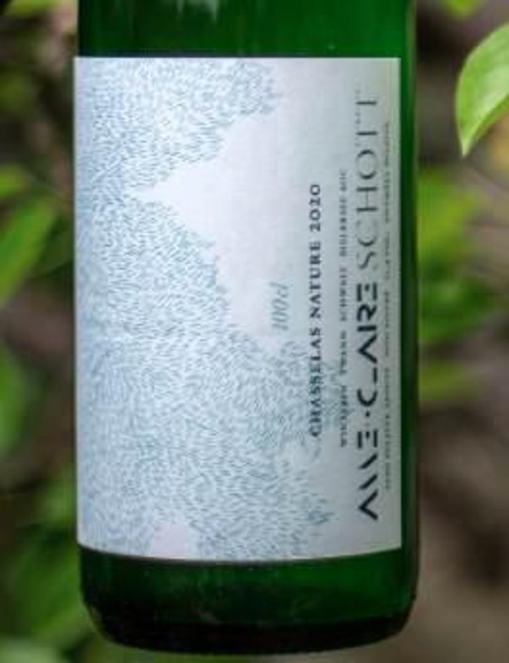 Chasselas Nature - Schott Weine - Aroma der Landschaft - anne-claire-schott 
