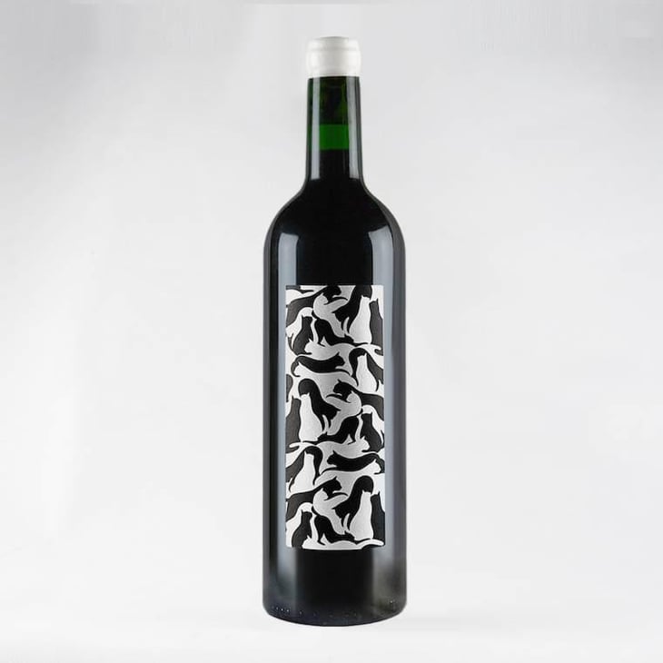 Chat Noir Chat Blanc - Terrain Vague - thomas-ollivier 