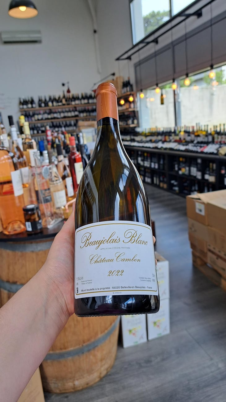 Château Cambon - Château Cambon - alexandre-iwasuila-marie-lapierre-jean-claude-chanudet -2022