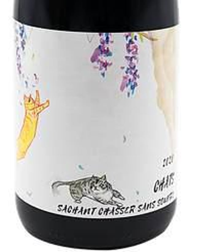 Chats sachant chasser sans soufre - Château Terre Fauve - morgane-jouan-nicolas-baudet 