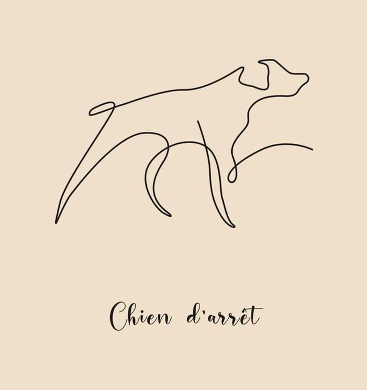 Chien D’arrêt - Axel Domont - axel-domont 