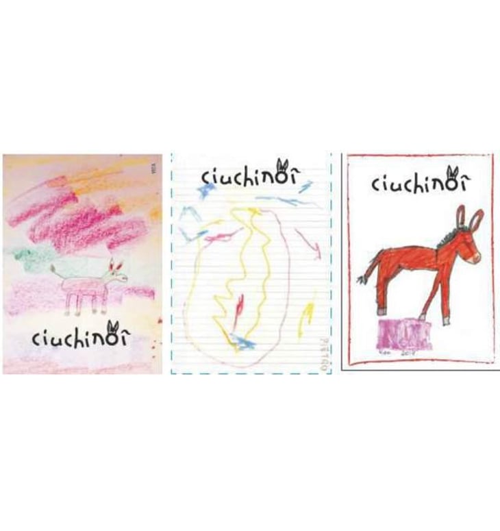 Ciuchinoi - Azienda Agricola Carussin - bruna-ferro 