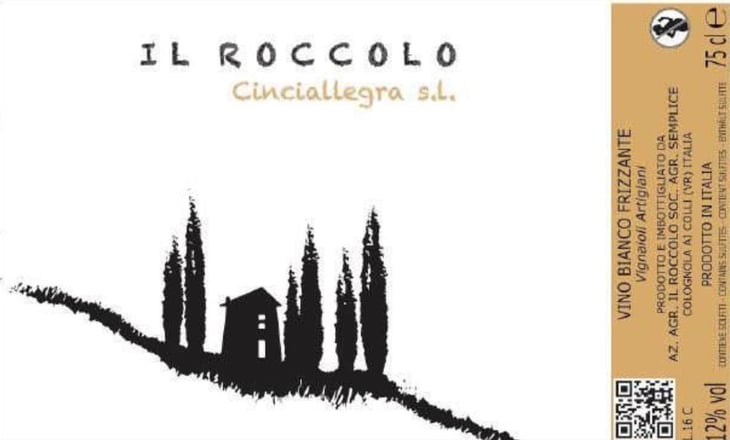 Cinciallegra s.l. - Il Roccolo di Monticelli - silvia-tezza 